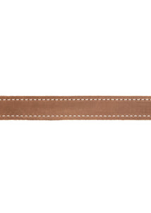 Brown Leather Leash