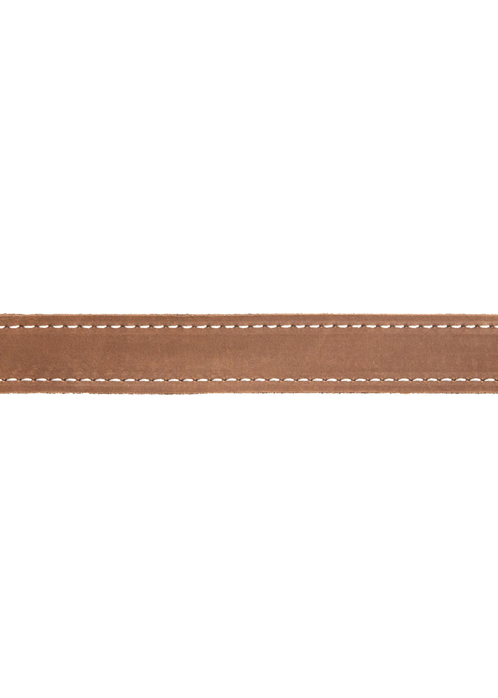 
                  
                    Load image into Gallery viewer, Brown Leather Leash
                  
                