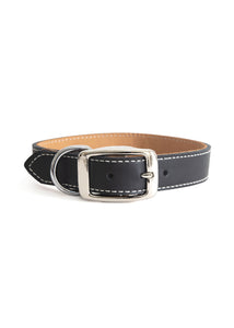 Black Leather Combo Collar and Leash