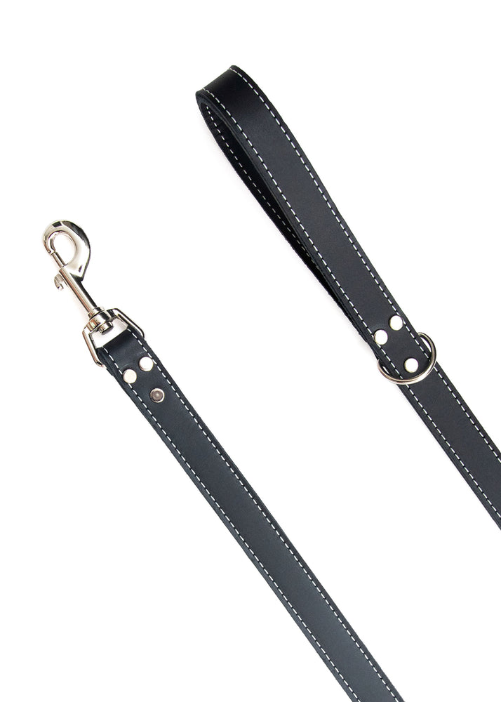 
                  
                    Load image into Gallery viewer, Black Leather Combo Collar and Leash
                  
                