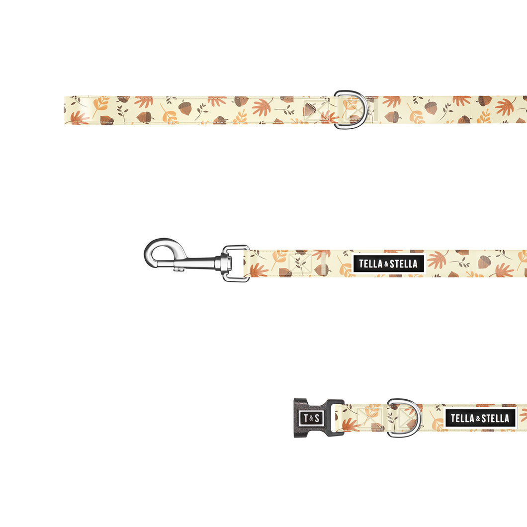 Fall Leaves Combo Collar and Leash