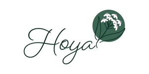 Hoya Cat Collar