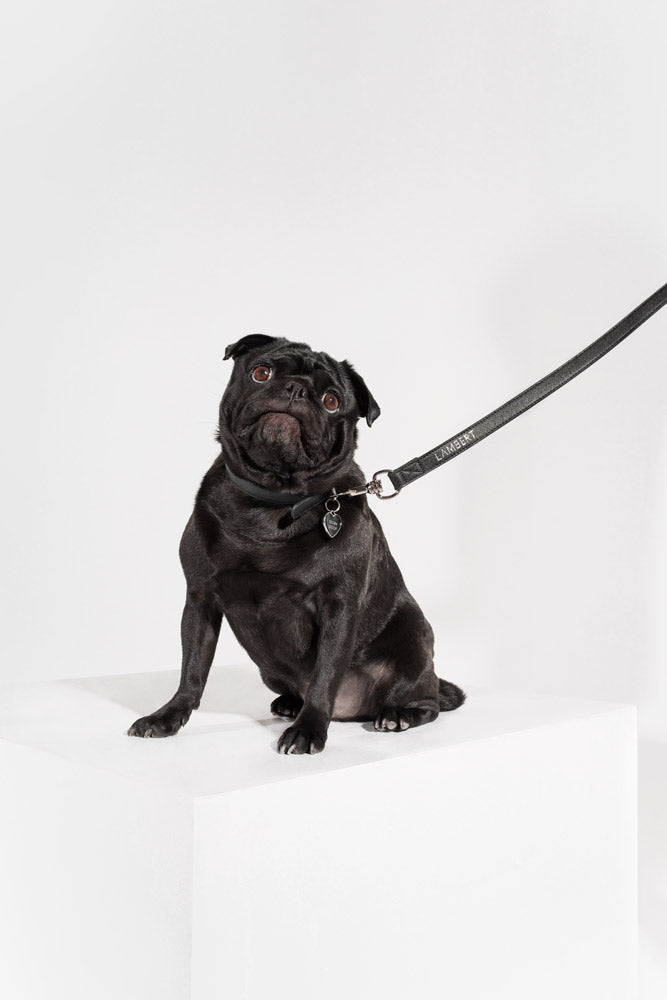 LAMBERT - Trio of accessories in black vegan leather for dogs
