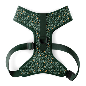 Harnais pour chien Nectar