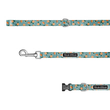 
                      
                        Load image into Gallery viewer, Orangery combo collar and leash
                      
                    