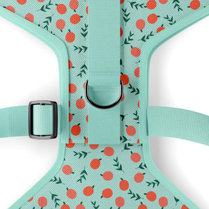 Harnais pour chien Pêche