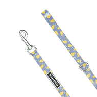 Laisse pour chien Poire