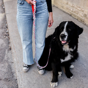 Remy Gummy dog leash