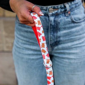 Remy Gummy combo collar and leash