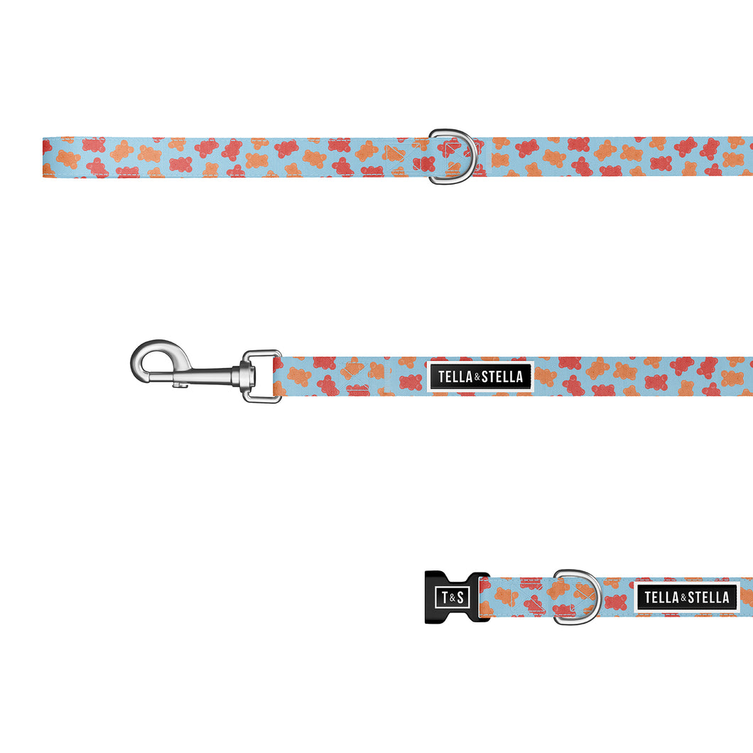 Remy Gummy combo collar and leash