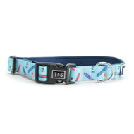 Collier pour chien Tofino