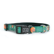 Collier pour chien TouchDown