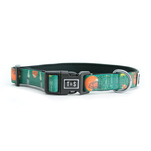 TouchDown Combo Collar and Leash