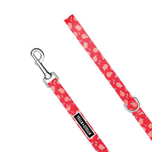 
                      
                        Load image into Gallery viewer, Mondou - Chewy Dog Leash
                      
                    