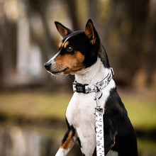 
                      
                        Load image into Gallery viewer, Black Baccara Combo Collar and Leash
                      
                    