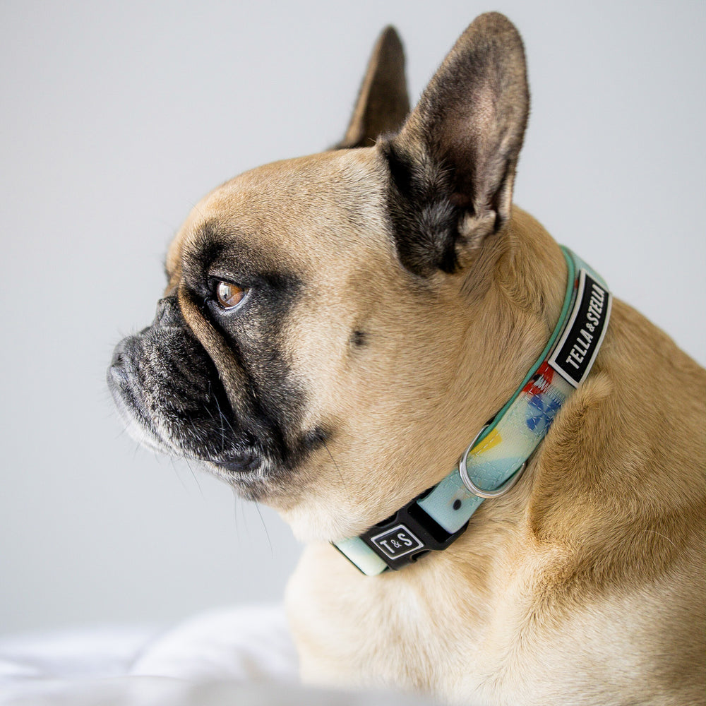 
                
                  Load image into Gallery viewer, Vacation Mode Dog Collar
                
              