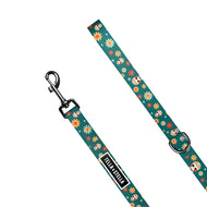 Laisse pour chien Fiesta Mexicana