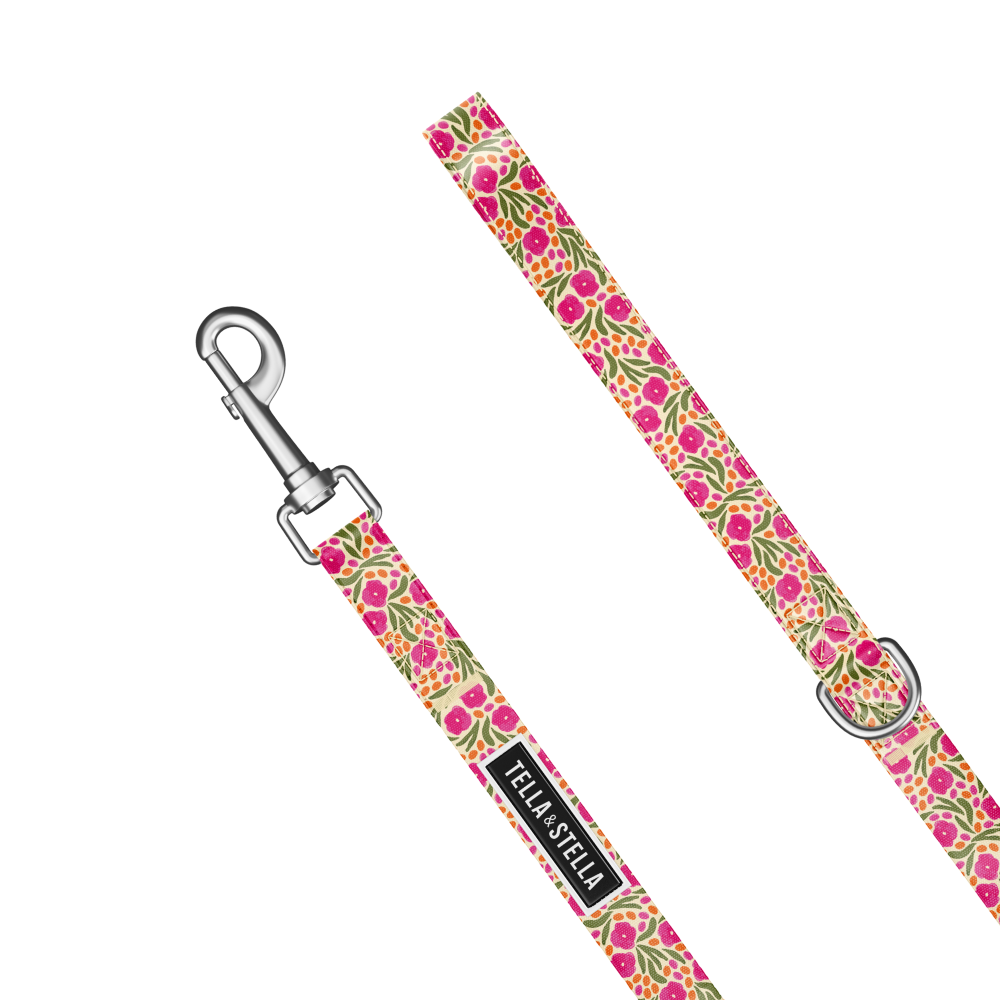 
                  
                    Load image into Gallery viewer, London&#39;s Flowers Combo Collar and Leash
                  
                