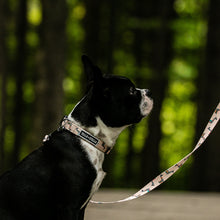 
                      
                        Charger l&#39;image dans la galerie, Laisse pour chien Lamas en Folies
                      
                    