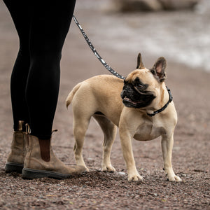 Nunavut  Dog Leash