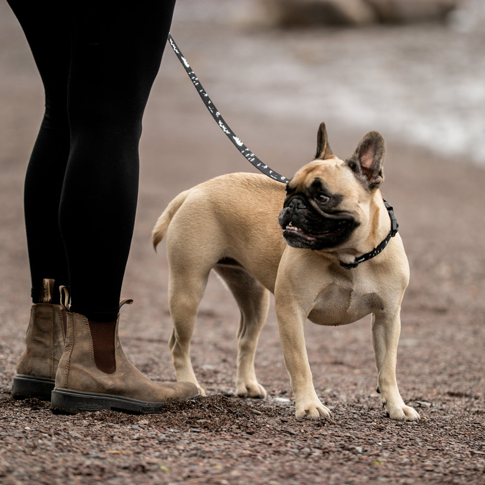 
                
                  Load image into Gallery viewer, Nunavut  Dog Leash
                
              