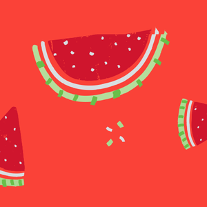Fresh Watermelon Combo Collar and Leash