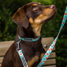 
                      
                        Load image into Gallery viewer, Peach Dog Collar
                      
                    