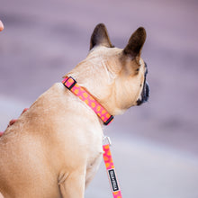 
                      
                        Load image into Gallery viewer, Princess Dog Collar
                      
                    