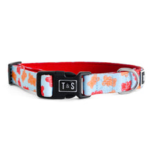 
                      
                        Load image into Gallery viewer, Remy Gummy combo collar and leash
                      
                    