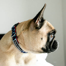 
                      
                        Load image into Gallery viewer, Rosaire the Gator Dog Collar
                      
                    