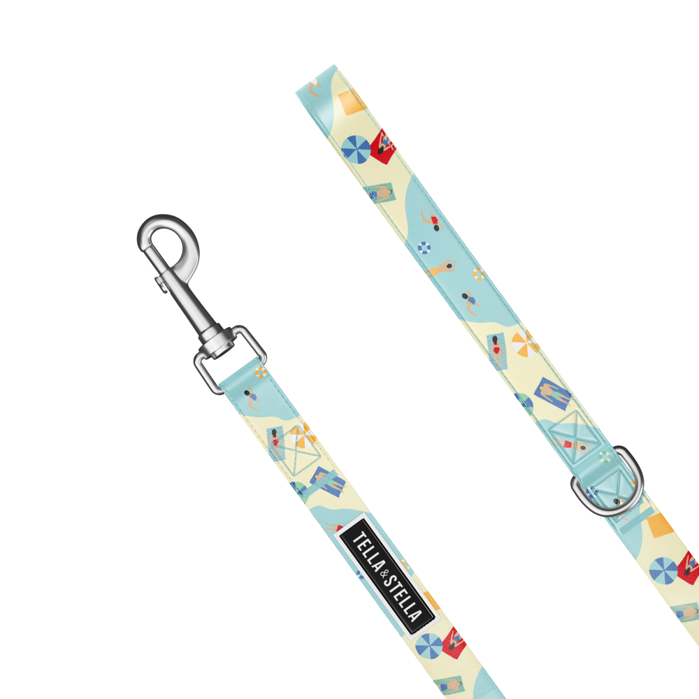 Vacation Mode Combo Collar and Leash